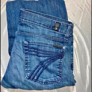 7 For all Mankind Dojo Flare